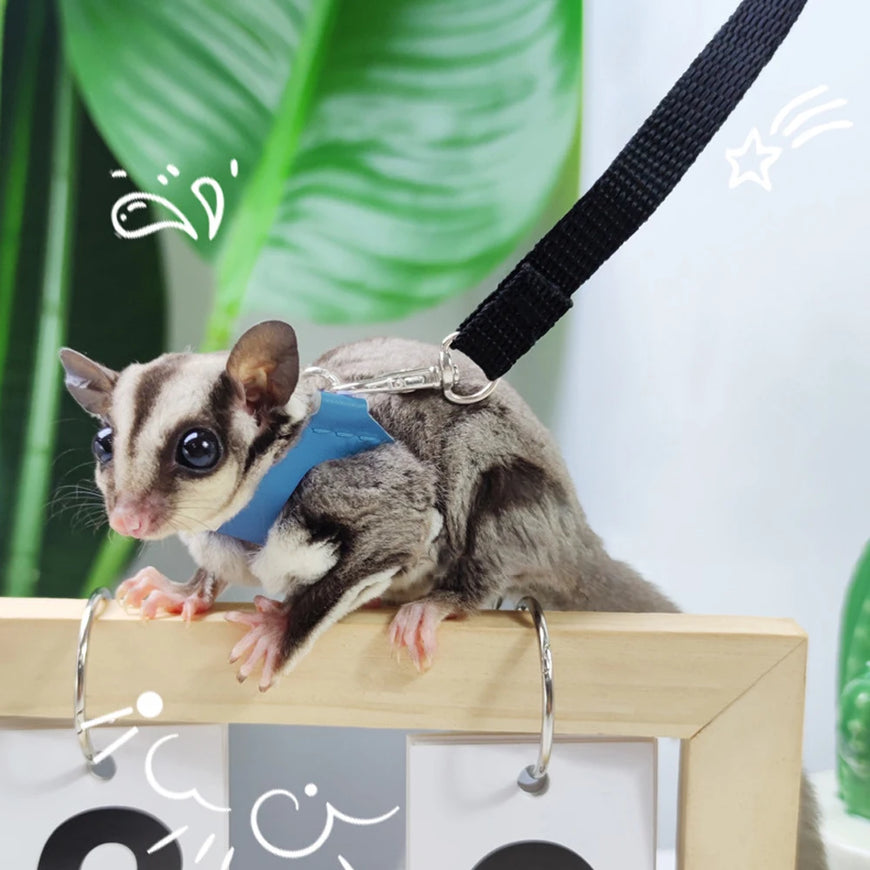 Small Animal Harness & Leash Set | Adjustable Escape-Proof Sugar Glider Gear