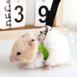 Small Animal Harness & Leash Set | Adjustable Escape-Proof Sugar Glider Gear