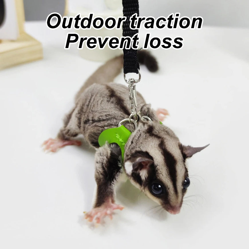 Small Animal Harness & Leash Set | Adjustable Escape-Proof Sugar Glider Gear
